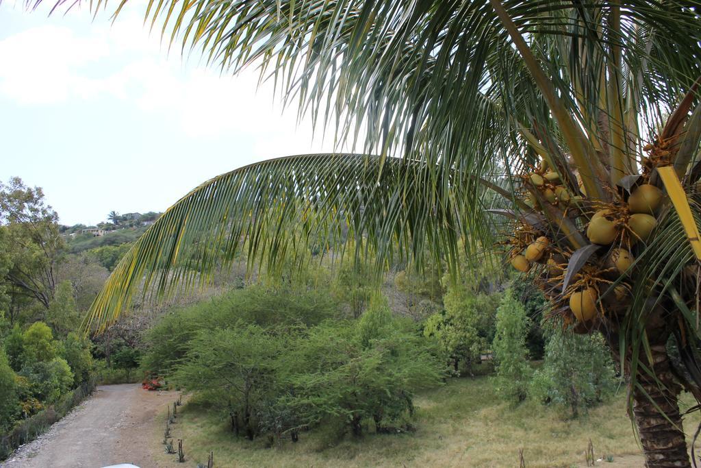 Villa Le Chapo Port Mathurin Room photo